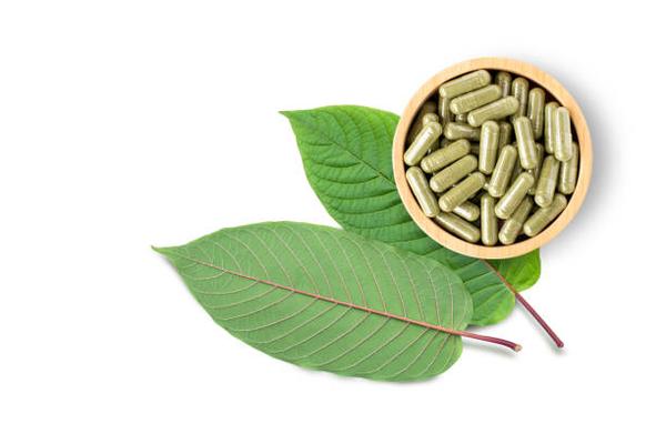 Leaf of Mystery The Surprising Benefits and Risks of Kratom